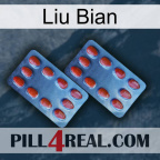 Liu Bian 05